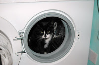 how to get rid of smell in washing machine