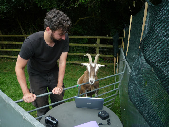 Goats show surprisingly dog-like skills, like this one taking part in research. Here's how to care for pet goats.