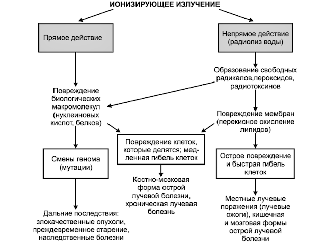 Воздействие ионизирующего излучения