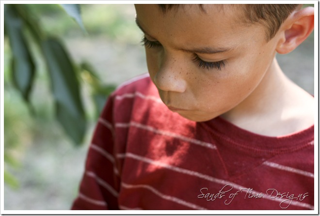 IMG_7448-copy
