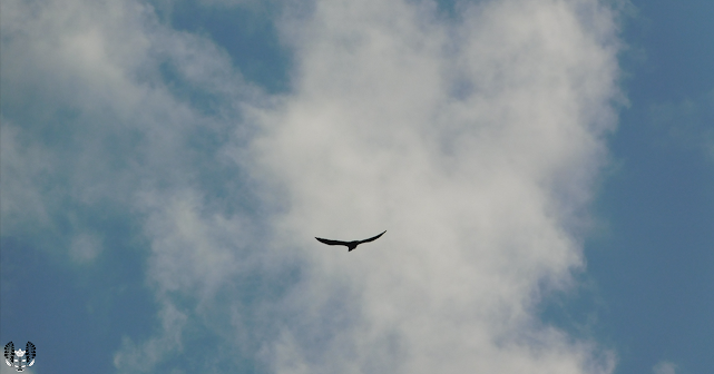 空 Sky