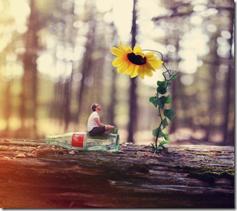 imagini Joel-Robinson