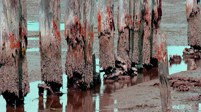 Pilings Bayview