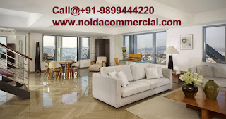 Studio Apartments in Noida