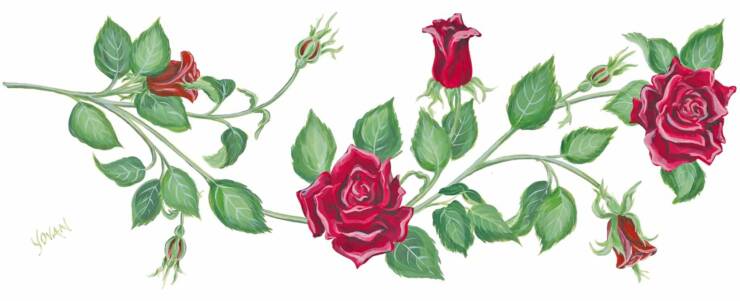 Cliparts pink roses,the