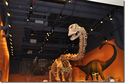 Fort Worth Museum 011