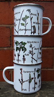 Tree identification twig mug by Alice Draws The Line