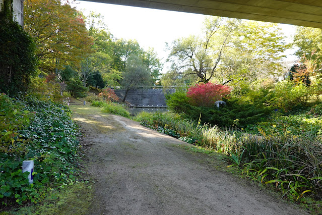 鳥取県西伯郡南部町鶴田　とっとり花回廊　木々の紅葉