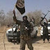 Boko Haram releases 13 hostages to Nigerian government