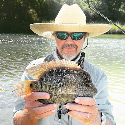 Year of the Rio, Rio Grande Cichlid, Fly Fishing for Rio Grande Cichlids, Fly Fishing Texas, Texas Fly Fishing