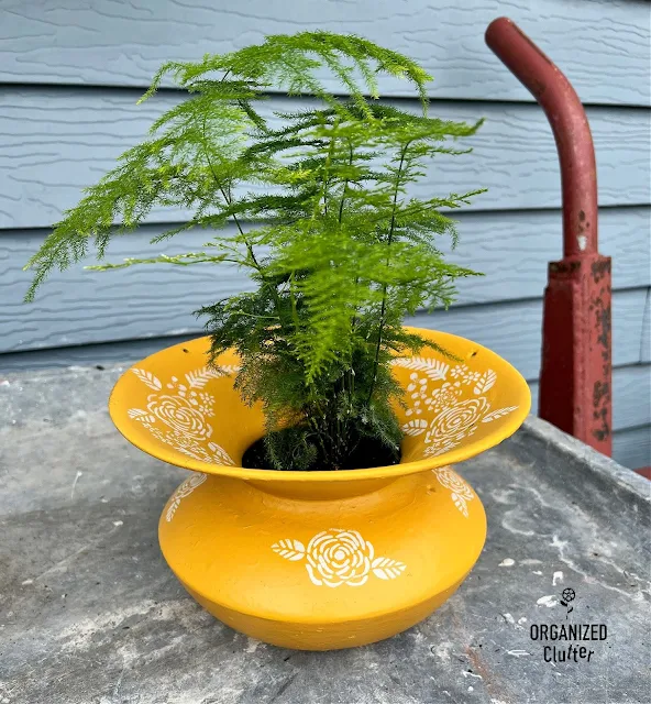 Photo of an old spittoon painted with Colonel Mustard paint, stenciled with a floral stencil, and planted with a fern