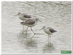 20120108_125156_020_Kuantu