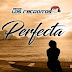 Banda Los Recoditos estrena su nuevo sencillo “Perfecta”