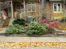 Riverdale Toronto Fall Cleanup Front Garden After by Paul Jung Gardening Services--a Toronto Gardening Services Company