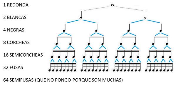 1 redonda = 2 blancas = 4 negras = 8 corcheas = 16 semicorcheas = 32 fusas = 64 semifusas