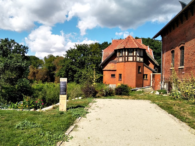 przyroda, natura, Wąsowo