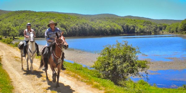 http://sicilyonhorseback.blogspot.com/2015/03/enjoy-horse-riding-facilities-in-sicily.html