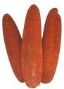 pandanus conoideus lam