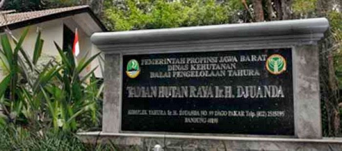 Tahura Taman Hutan Raya Bandung Kids Holiday Spots