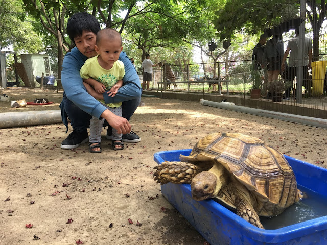 Liuying Animal Ranch , attractions for kids in Tainan, Taiwan