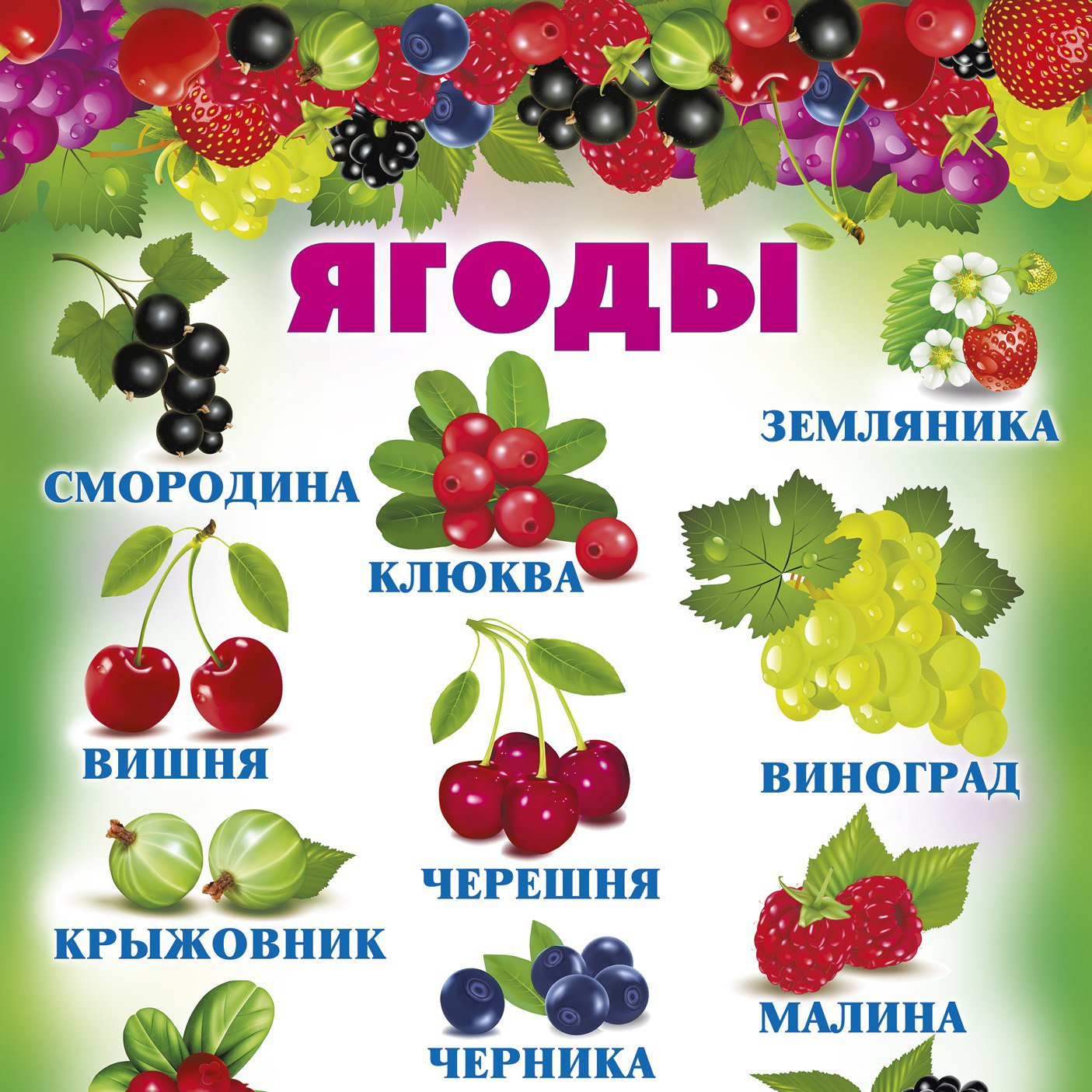 Покажи ягодки. Ягоды названия. Садовые ягоды названия. Плакат. Ягоды. Ягоды плакат для детей.