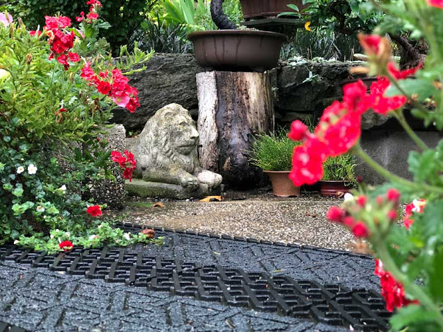 Scene from a Suburban Small Plot Home Blog. Nature-loving couple garden, create bird, butterfly, bullfrog friendly backyard environment.