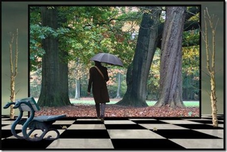 The Last Forest  by Patrick Desmet via Telamamaria Blogspot