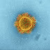 التشخيص الطفرة السريعة في حالات فيروس كورونا الإيراني "مقلقة للغاية": منظمة الصحة العالمية