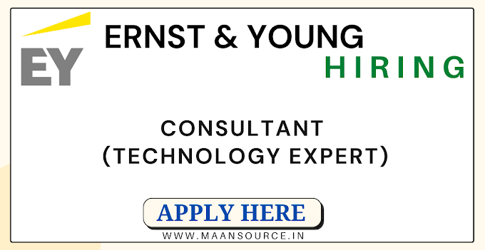 Consultant (Technology expert)
