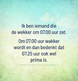 plaatjes met nederlandse quotes