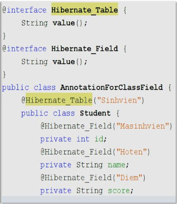 Annotation mô tả một class và field trong lập trình java