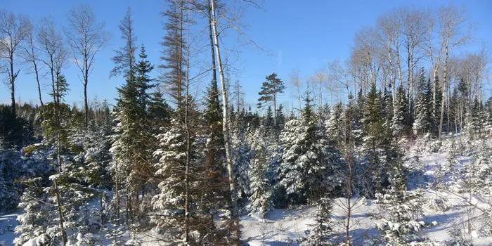 Via Rail en Canadá