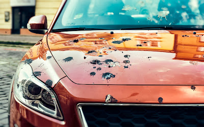 Orlando car paint damage tips.