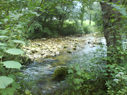 Camino a Espinareu (Piloña)