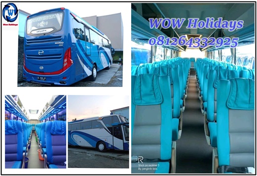 Rental Bus Pariwisata Medan Eksekutif