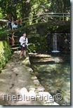 IMG_1931 IMG_1931