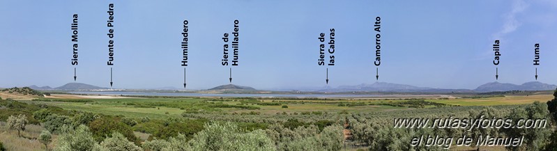 Laguna de Fuente de Piedra y Lagunas de Campillos