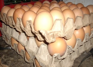 Permasalahan yang terjadi pada telur ayam
