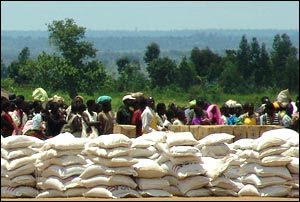 USAID Food Aid Crisis