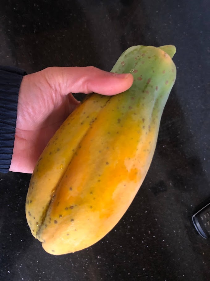 Harvesting Papayas: Savor the Sweetness of Success 🌞
