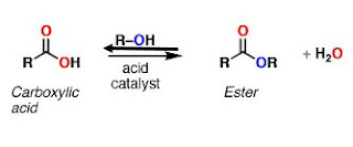 Fischer Esterification