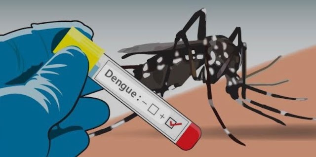 Krisis Kesehatan Global: Peningkatan Kasus Demam Berdarah Dengue dan Upaya Penanggulangan