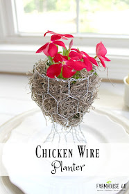 Chicken wire planter