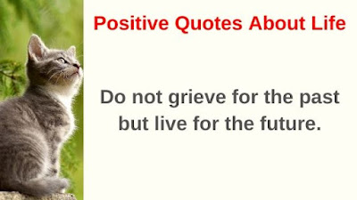 Positive Quotes About Life