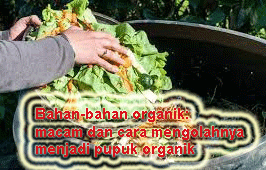 "bahan-bahan organik"