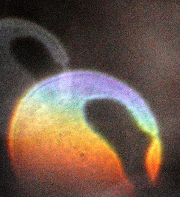 gradient color orb