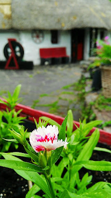 Fairybridge cottage © Annie Japaud Photography