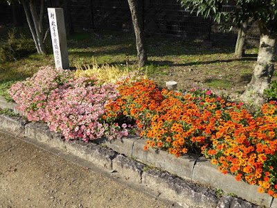 秋の市民の森（鏡伝池緑地）