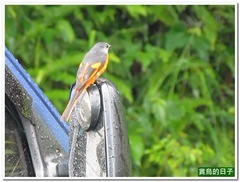 20130519_105148_0123