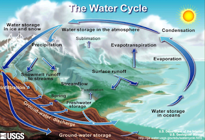 CBSE Class 7 - Geography - Ch5 - Water (Short Q and A)